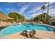 A backyard pool with desert landscaping, mature palms, and a sunshade at 1908 E Beck Ln, Phoenix, AZ 85022