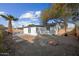 A spacious backyard showcasing an in-ground pool, mature trees, and a well-maintained lawn at 1911 W Kimberly Way, Phoenix, AZ 85027