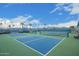 Outdoor pickleball courts offering a fun and active community amenity with palm tree views at 2101 S Meridian Rd # 176, Apache Junction, AZ 85120