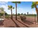 Relaxing backyard with lush landscaping, mature trees, and a golf course view at 22524 N San Ramon Dr, Sun City West, AZ 85375