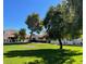 Lush green common area perfect for relaxation and recreation, set against a backdrop of well-maintained buildings at 3535 W Monte Cristo Ave # 129, Phoenix, AZ 85053