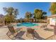 A clean community pool surrounded by trees and comfortable lounging chairs at 4226 E Spawn Ln, Gilbert, AZ 85296