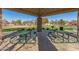 Covered picnic area with tables overlooks the sand volleyball court and basketball court at 4226 E Spawn Ln, Gilbert, AZ 85296