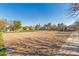 Community sand volleyball court on a sunny day with nearby picnic area and well maintained landscaping at 4226 E Spawn Ln, Gilbert, AZ 85296