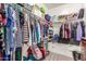 Organized walk-in closet with shelving, rods, and drawers for efficient storage of clothing and accessories at 4226 E Spawn Ln, Gilbert, AZ 85296