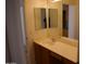 Bathroom featuring wood cabinets with a white sink and a view of the shower reflected in a mirror at 1083 E Jade Dr, Chandler, AZ 85286