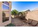 Backyard showcasing desert landscaping with a view of privacy wall and blue sky at 14314 W Pecos Ln, Sun City West, AZ 85375