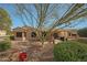 View of backyard with a large leafy tree, covered patio, and outdoor kitchen at 18670 N Rincon Ct, Surprise, AZ 85387