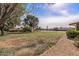 Expansive backyard with mature trees, lush greenery, and a gravel path, offering a tranquil outdoor space at 19503 N 142Nd Dr, Sun City West, AZ 85375