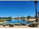 Scenic pond surrounded by lush landscaping, offering a tranquil and picturesque view at 19503 N 142Nd Dr, Sun City West, AZ 85375