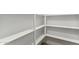 Walk-in pantry with white painted shelving at 21122 N 58Th St, Phoenix, AZ 85054