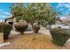 View of the front yard, with a tree and driveway visible at 41260 N Salix Dr, San Tan Valley, AZ 85140