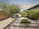 Landscaped backyard featuring desert plants, lush bushes, a stone paver walkway, and ambient lighting for a cozy and inviting space at 6039 E Sienna Bouquet Pl, Cave Creek, AZ 85331