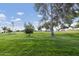 Expansive green space featuring mature trees and a well-manicured lawn, perfect for recreation at 617 S Palo Verde Way, Mesa, AZ 85208