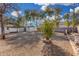 Large gravel backyard with a vibrant green shrub, mature trees, and secure block wall perimeter at 7022 N 26Th Dr, Phoenix, AZ 85051