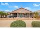 Lush backyard featuring a covered patio, desert landscaping, and mature palm trees at 17637 N Goldwater Dr, Surprise, AZ 85374