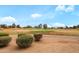 Scenic view of the well-maintained golf course with lush green fairways and mature trees at 17637 N Goldwater Dr, Surprise, AZ 85374