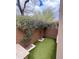 Private courtyard featuring artificial turf, stone planters, and climbing vines at 18515 N 94Th St, Scottsdale, AZ 85255
