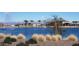 Beautiful lake view featuring fountains, palm trees, and landscaping enhancing the community's appeal at 24757 N 175 Dr, Surprise, AZ 85387