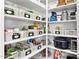 Well-organized pantry with white shelves, baskets, and ample storage space for all your kitchen essentials at 24757 N 175 Dr, Surprise, AZ 85387