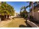 Spacious backyard featuring lush green grass, mature trees, and block wall at 3631 S Greythorne S Way, Chandler, AZ 85248
