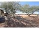 View of a large backyard with mature trees and perimeter fencing at 38234 N 15Th Ave, Phoenix, AZ 85086