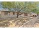Large backyard with mature shade tree, block wall, and white picket fence at 38234 N 15Th Ave, Phoenix, AZ 85086