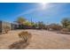 Large backyard featuring desert landscaping, mature trees, clear blue sky and fence at 532 N 102Nd Pl, Mesa, AZ 85207