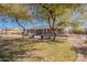 Spacious backyard featuring mature trees, a covered patio, and a dining area at 532 N 102Nd Pl, Mesa, AZ 85207