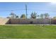 Expansive backyard with block wall and lush green lawn provides privacy and space at 541 W Edgemont Ave, Phoenix, AZ 85003