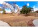 An expansive backyard with gravel landscaping offers privacy with block wall, and mature trees at 8812 N 67Th Dr, Peoria, AZ 85345