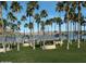 Picturesque community with waterfront picnic pavilions, palm trees, and green spaces at 9734 S 182Nd Dr, Goodyear, AZ 85338