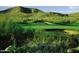 Tranquil golf course view surrounded by natural desert foliage and vibrant green, showcasing a challenging yet serene play at 9734 S 182Nd Dr, Goodyear, AZ 85338