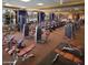 A spacious gym equipped with modern exercise machines and overlooking a scenic view at 9734 S 182Nd Dr, Goodyear, AZ 85338