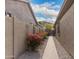 Paver walkway beside home with bougainvillea and desert landscaping at 9734 S 182Nd Dr, Goodyear, AZ 85338