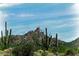 Scenic desert landscape with cacti and lush vegetation against a backdrop of mountains and a blue sky at 10798 E Hedgehog Pl, Scottsdale, AZ 85262