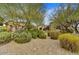 Lush desert landscaping surrounds the home with native plants and mature trees at 10798 E Hedgehog Pl, Scottsdale, AZ 85262