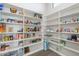 Spacious pantry with floor to ceiling shelving at 15642 E Palatial Dr, Fountain Hills, AZ 85268