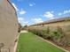 Spacious backyard with well-maintained lawn, mature plants, and block wall at 15829 W Bonitos Dr, Goodyear, AZ 85395