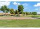 Green space features a full basketball court and grassy play areas at 3006 E Agritopia N Loop, Gilbert, AZ 85296