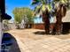 Lush backyard featuring palm trees, a fenced perimeter, and a comfortable patio for relaxing outdoors at 3322 E Willetta St, Phoenix, AZ 85008