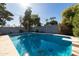 Backyard pool under clear blue sky providing relaxation and recreation, bordered by mature trees and a concrete block wall at 3511 E Elm St, Phoenix, AZ 85018