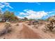 Desert street with native vegetation and views of nearby homes at 4216 E Desert Marigold Dr, Cave Creek, AZ 85331