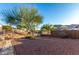 Well-maintained backyard with desert landscaping, a rock pathway, and secure fencing at 4267 S Strong Box Rd, Gold Canyon, AZ 85118