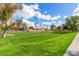 Well-maintained community green space and walking path with lush grass and mature trees at 4683 W Dublin St, Chandler, AZ 85226