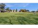 Lush green space with disc golf basket in a community at 474 E Baylor Ln, Gilbert, AZ 85296