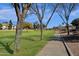 Community walking path through a lush green space with mature trees at 474 E Baylor Ln, Gilbert, AZ 85296