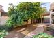 Well-manicured backyard featuring mature orange tree, pavers, and lush greenery at 653 S Catalina St, Gilbert, AZ 85233