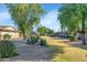 Scenic backyard featuring mature trees, lush greenery, and desert landscaping at 18655 N Palomar Dr, Sun City West, AZ 85375