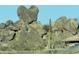 Unique rock outcroppings and natural desert landscaping enhance the beauty of the property at 25572 N 113Th Way, Scottsdale, AZ 85255